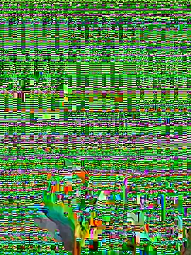 Snapshot of micosilpro chatting on 03/08/26, 03:49 micosilpro online show from 03/08/26, 03:49