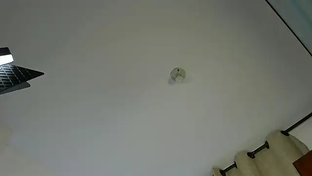 Rebeca Marchetti online show from 04/07/26, 08:42