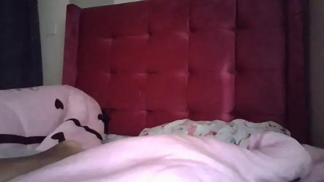 Snapshot of Babydika chatting on 03/28/26, 06:24 Babydika online show from 03/28/26, 06:24