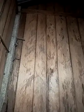 Mizu-hotshow online show from 03/29/26, 10:32