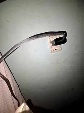 wolf297 online show from 02/28/26, 11:44