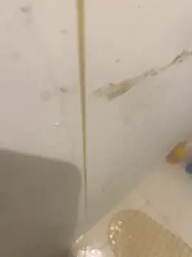 Snapshot of bichalouca chatting on 03/31/26, 09:15 bichalouca online show from 03/31/26, 09:15