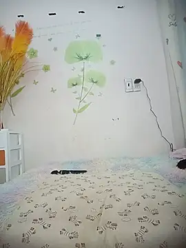 Snapshot of Meow_cute chatting on 07/06/26, 06:43 Meow cute online show from 07/06/26, 06:43