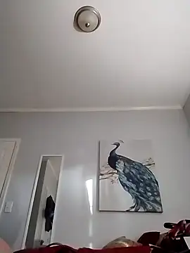 coestet online show from 04/03/26, 10:30