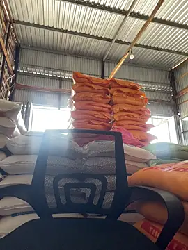 Snapshot of hoang15075 chatting on 03/29/26, 10:15 hoang15075 online show from 03/29/26, 10:15