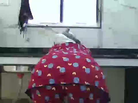 Miss Sanika online show from 03/05/26, 10:00