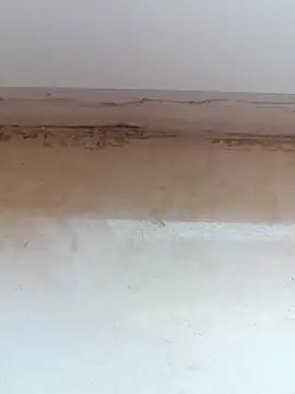 jeniferoo online show from 03/11/26, 08:42