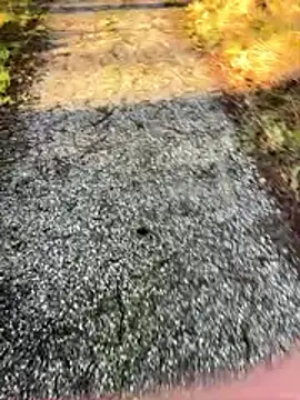 Sweetlauu online show from 03/01/26, 07:54