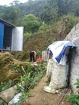 Snapshot of dualeo11 chatting on 03/12/26, 06:19 dualeo11 online show from 03/12/26, 06:19