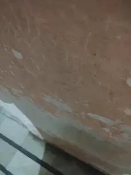 Tamillaxmi12 online show from 04/14/26, 03:40