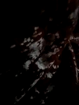 Snapshot of Couple_hot999 chatting on 03/04/26, 02:56 Couple hot999 online show from 03/04/26, 02:56