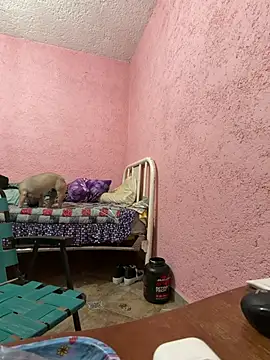 Snapshot of deivchoky chatting on 04/14/26, 01:00 deivchoky online show from 04/14/26, 01:00