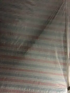 TieuVy99 online show from 04/03/26, 02:48