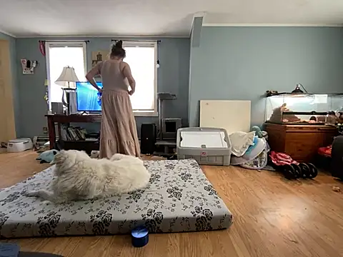 Snapshot of highimmaryjane chatting on 03/25/26, 04:46 highimmaryjane online show from 03/25/26, 04:46