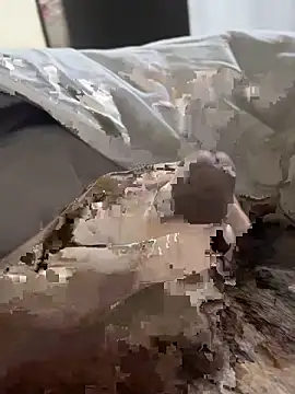 Snapshot of likemonster11 chatting on 03/27/26, 12:05 likemonster11 online show from 03/27/26, 12:05