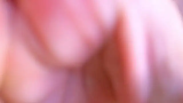 Snapshot of Jimmy_Doss chatting on 04/25/26, 07:00 Jimmy Doss online show from 04/25/26, 07:00