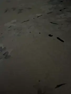 sharks90 online show from 07/06/26, 03:58