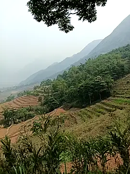 Snapshot of Yuhi3d chatting on 04/14/26, 03:45 Yuhi3d online show from 04/14/26, 03:45