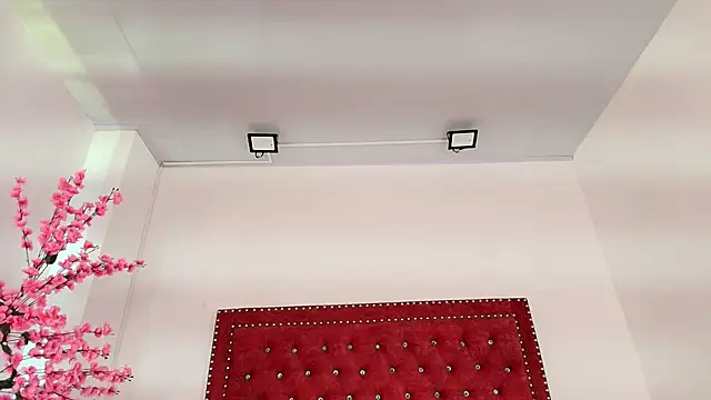 Snapshot of Daphne_glas chatting on 04/01/26, 01:41 Daphne glas online show from 04/01/26, 01:41