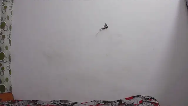 Snapshot of hard_to_do__ chatting on 04/11/26, 05:17 hard to do online show from 04/11/26, 05:17