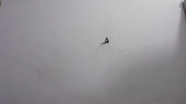 Snapshot of hard_to_do__ chatting on 04/20/26, 06:16 hard to do online show from 04/20/26, 06:16