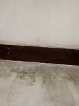 Snapshot of Student_girl00 chatting on 03/15/26, 05:02 Student girl00 online show from 03/15/26, 05:02