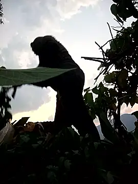 Snapshot of Bling-pusy chatting on 04/08/26, 11:32 Bling-pusy online show from 04/08/26, 11:32