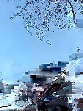 Snapshot of Yellow-pink chatting on 04/12/26, 10:20 Yellow-pink online show from 04/12/26, 10:20