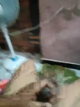 Daddy 883 online show from 03/10/26, 12:48