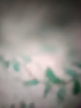 Snapshot of King_night1 chatting on 03/25/26, 10:05 King night1 online show from 03/25/26, 10:05