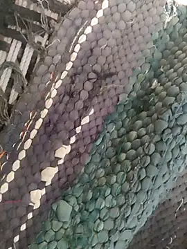 Snapshot of King_night1 chatting on 04/12/26, 01:21 King night1 online show from 04/12/26, 01:21