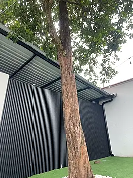 Snapshot of Bella-Ferrer chatting on 03/14/26, 06:24 Bella-Ferrer online show from 03/14/26, 06:24