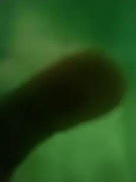 ffgffefgg online show from 03/12/26, 12:39