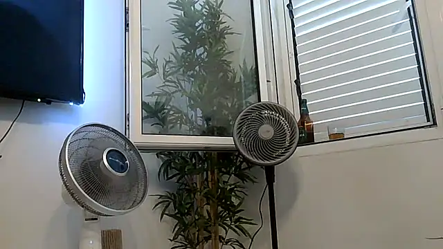 yanick931 online show from 07/27/26, 11:39