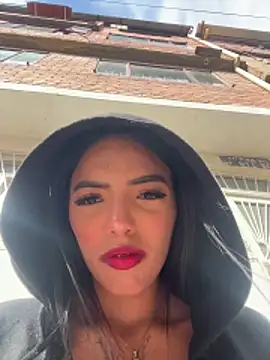 Snapshot of sylphiee_ chatting on 04/02/26, 08:17 sylphiee online show from 04/02/26, 08:17