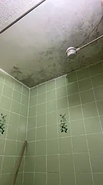 Snapshot of sylphiee_ chatting on 04/08/26, 11:54 sylphiee online show from 04/08/26, 11:54