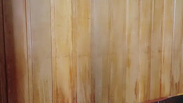 Eliffe jhonson online show from 03/16/26, 12:09