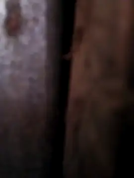 Snapshot of Any_120 chatting on 04/26/26, 08:45 Any 120 online show from 04/26/26, 08:45