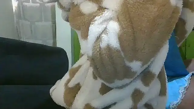 Snapshot of Elianastar chatting on 04/16/26, 04:46 Elianastar online show from 04/16/26, 04:46