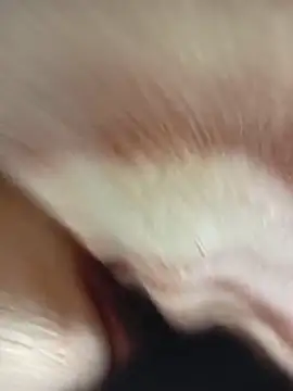 Snapshot of MaSimo_23 chatting on 03/14/26, 09:31 MaSimo 23 online show from 03/14/26, 09:31