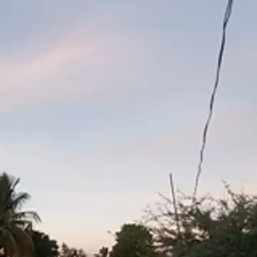 hotwife   br online show from 04/09/26, 08:36