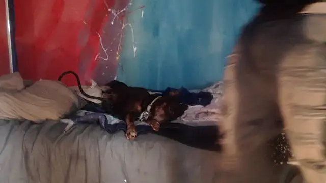 Snapshot of punkyslut69 chatting on 04/14/26, 06:25 punkyslut69 online show from 04/14/26, 06:25