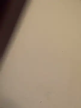 Snapshot of buivali00 chatting on 03/15/26, 11:38 buivali00 online show from 03/15/26, 11:38