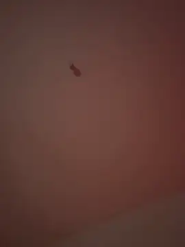 Snapshot of 21cm19 chatting on 03/29/26, 01:05 21cm19 online show from 03/29/26, 01:05