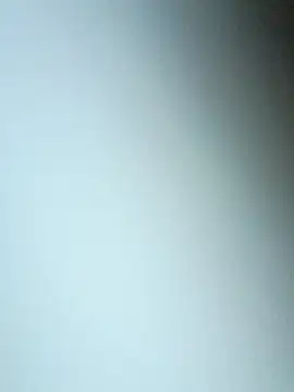 bojo888 online show from 03/19/26, 09:08