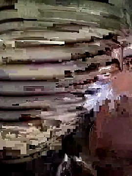 Snapshot of -Tiduta- chatting on 04/23/26, 06:21 -Tiduta- online show from 04/23/26, 06:21