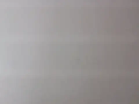 Zurii  online show from 04/12/26, 07:52