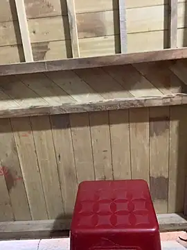 Zinii99 online show from 04/05/26, 04:42