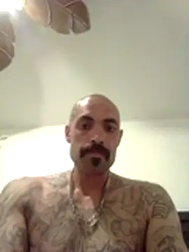 wesstfine online show from 05/19/26, 04:41