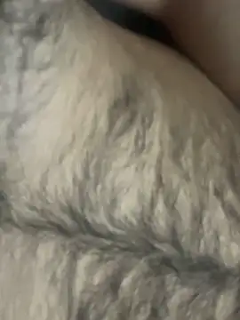 Snapshot of TurkishBoyzs chatting on 04/11/26, 07:29 TurkishBoyzs online show from 04/11/26, 07:29